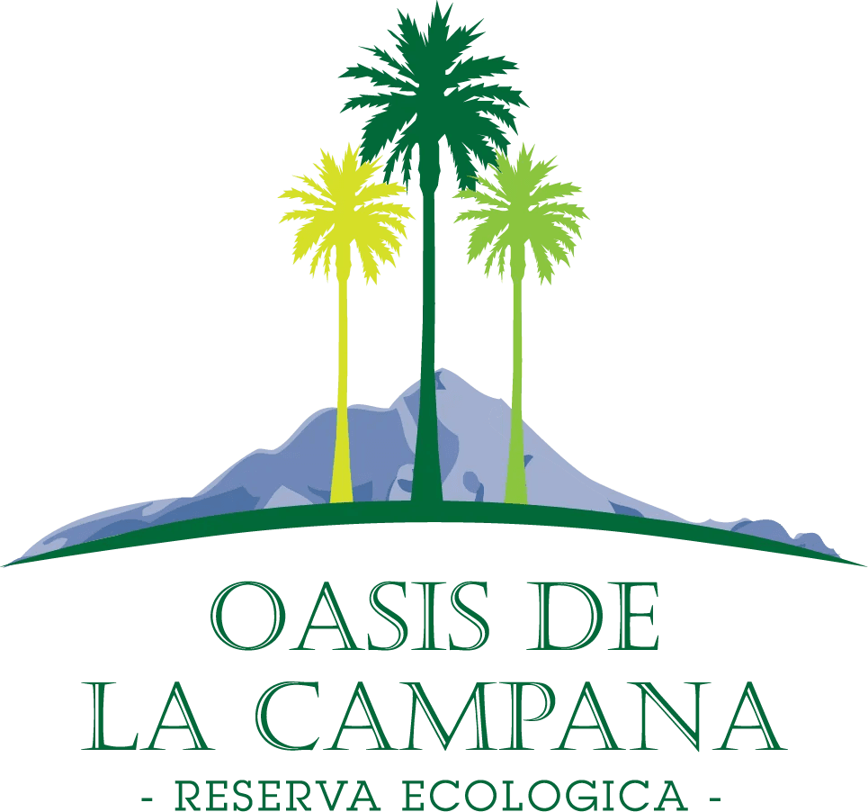 Oasis de la Campana